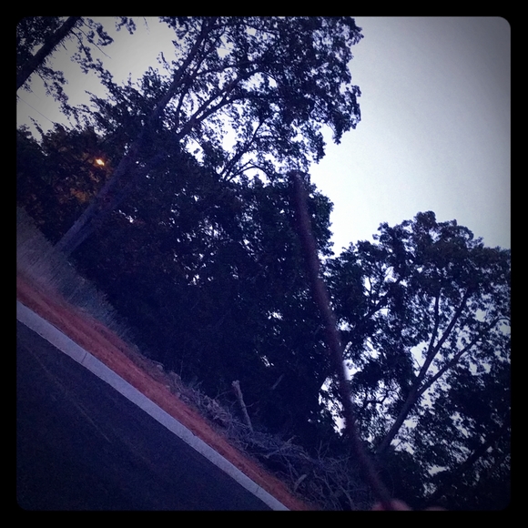 Beautiful stick - Picture 1 of 1